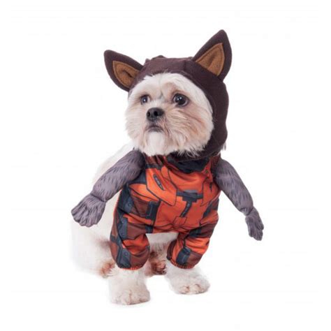 spider man dog costume|rocket raccoon costume for dogs.